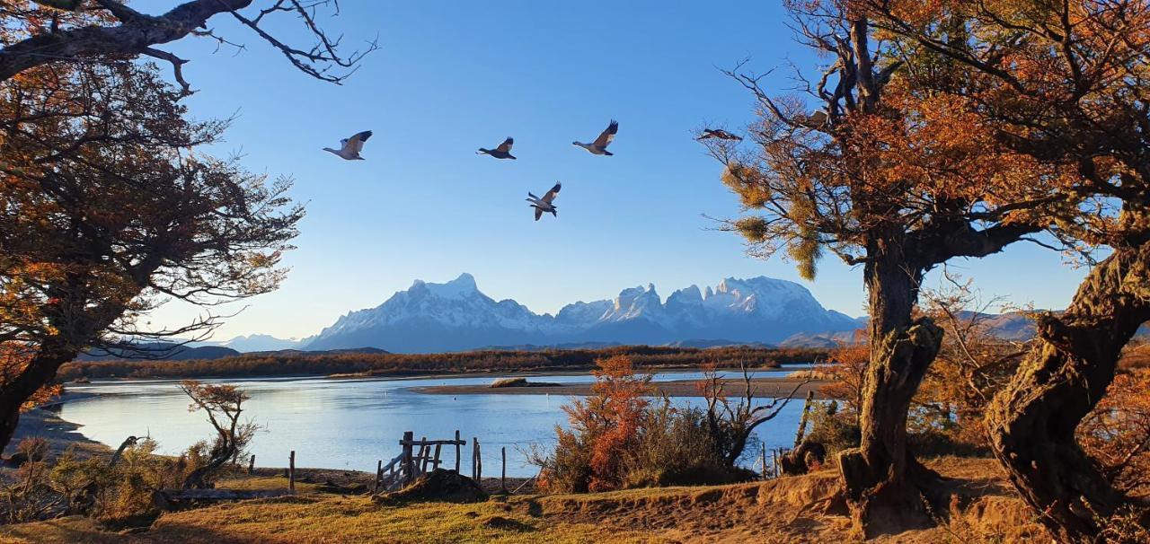 Morrena Lodge Torres del Paine National Park 外观 照片